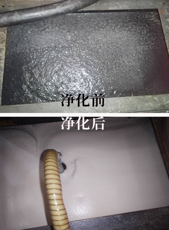 净化对比).jpg